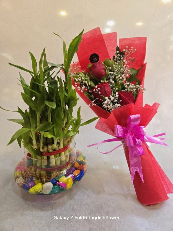 Red rose bouque & lucky tree plant
