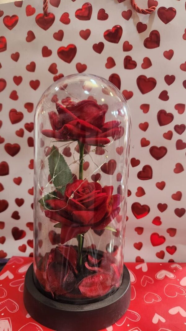 Valentine Special Red Rose Gift