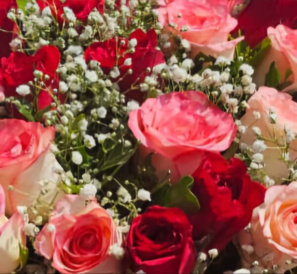 Red & jumeliya  roses bouquet - Image 2